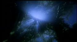 its a picture taken underwater looking up towards the sun. the dark spots are the shadows of trees on the water