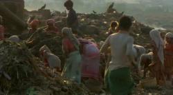 Hunting for food and goods in Mumbai garbage dump.