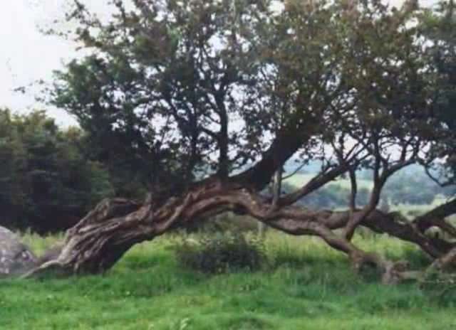 time-after-time-0182