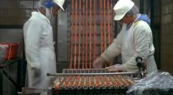 Frankfurter production line - quality control